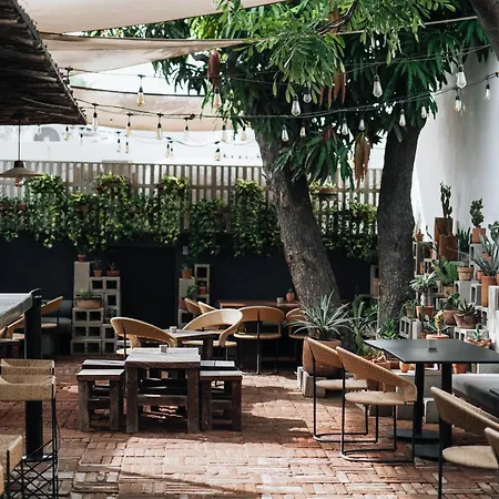 Hotel Drift San Jose del Cabo