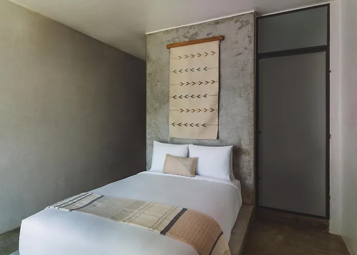 Drift San Jose Del Cabo, A Member Of Design