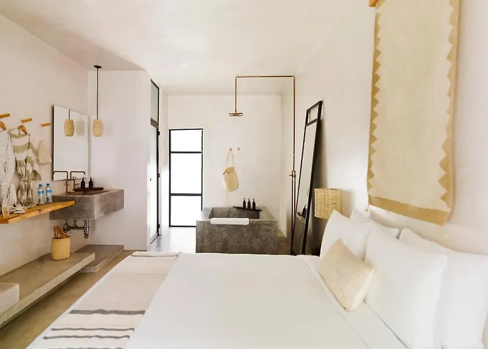 Hotel Drift San Jose Del Cabo, A Member Of Design 3*