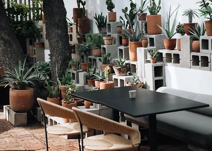 Hotel Drift San Jose Del Cabo, A Member Of Design