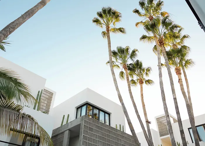 Hotel Drift San Jose Del Cabo, A Member Of Design 3*