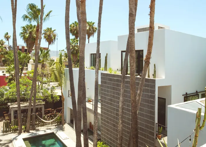 Drift San Jose Del Cabo, A Member Of Design Hotel 3*