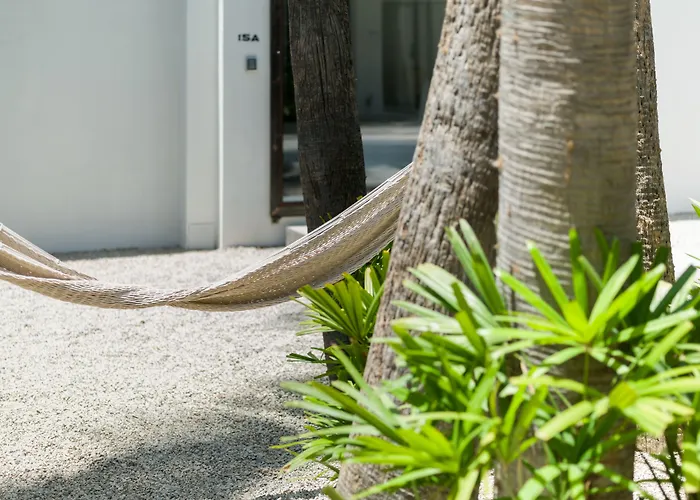 Drift San Jose Del Cabo, A Member Of Design 3*