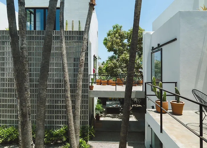 Drift San Jose Del Cabo, A Member Of Design Hotel