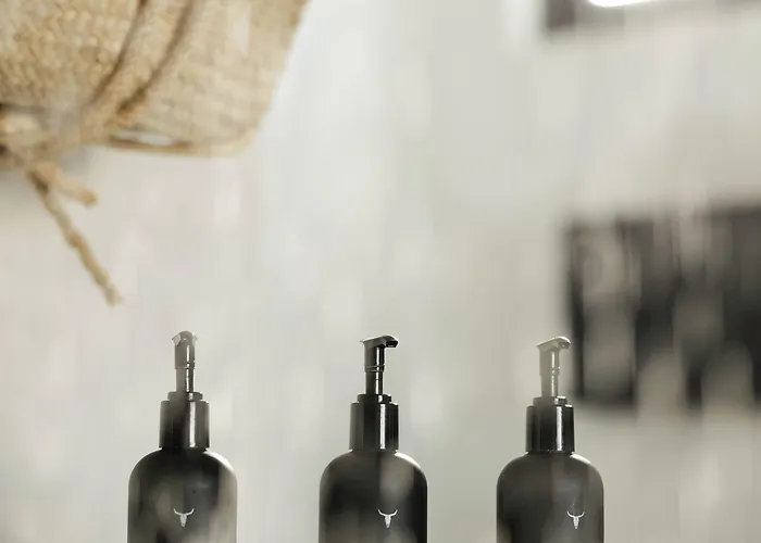 Drift San Jose Del Cabo, A Member Of Design Hotel 3*
