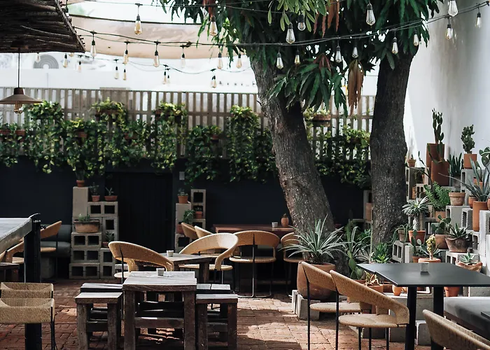 Hotel Drift San Jose Del Cabo, A Member Of Design