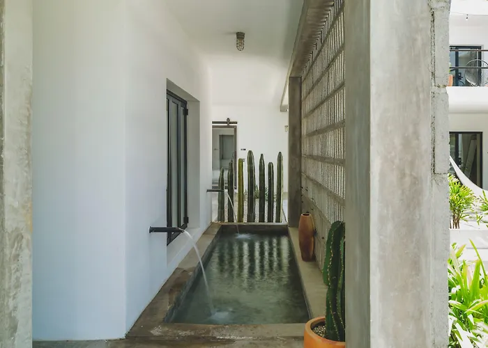 Drift San Jose Del Cabo, A Member Of Design